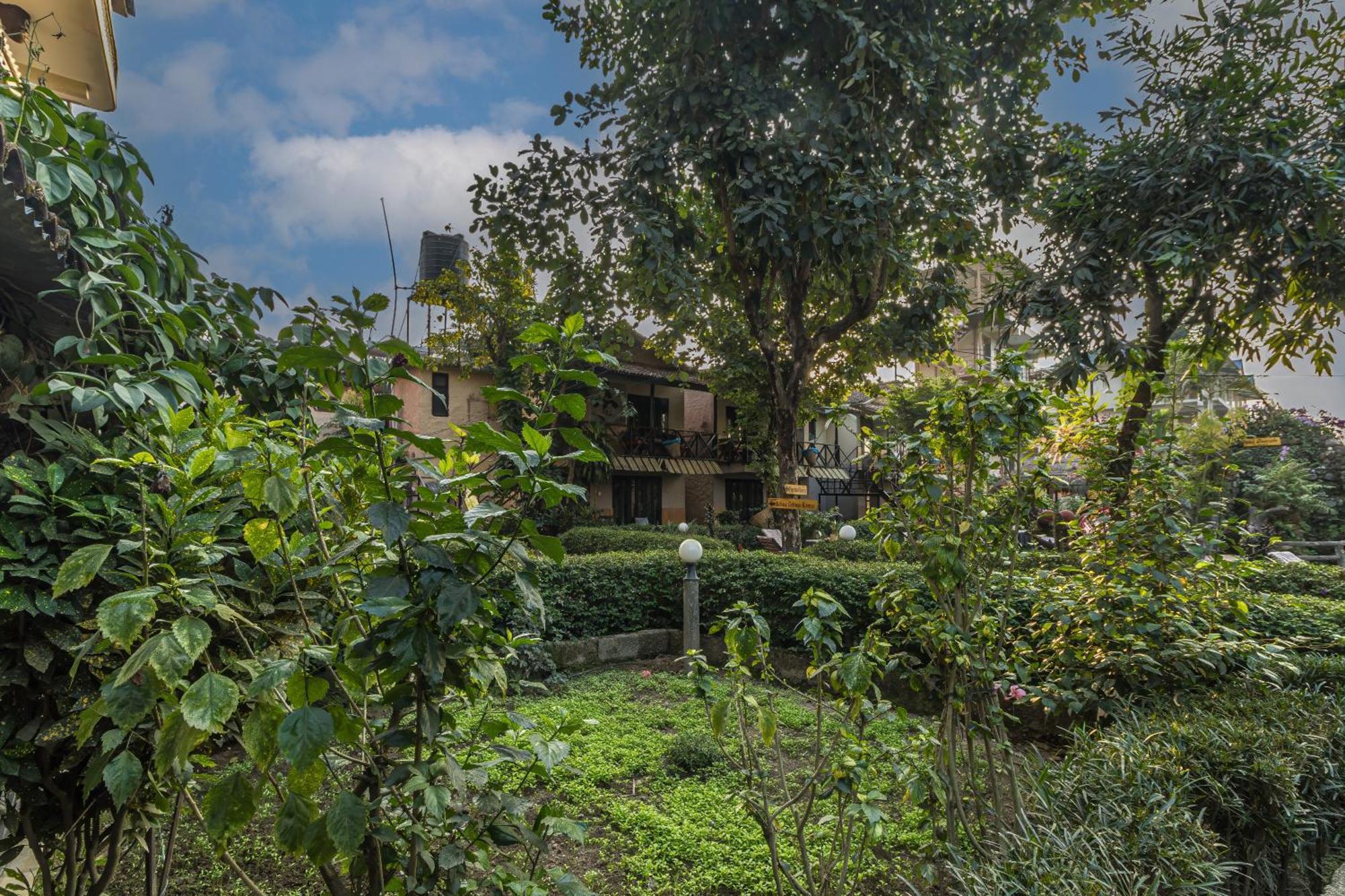 סאורהה Hotel Riverside With Swimming Pool מראה חיצוני תמונה